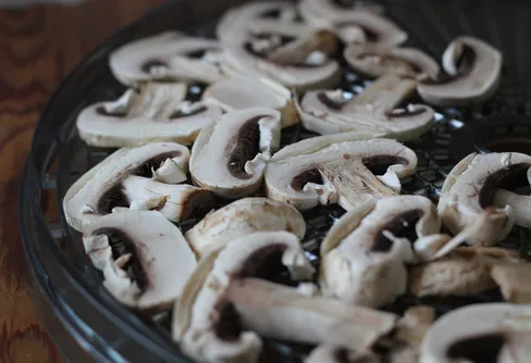 Bästa sättet att torka svamp