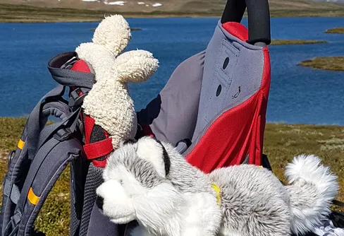 Fjälltältning med 1,5-åring