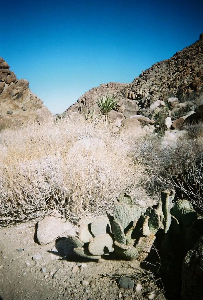 Klicka för att förstora