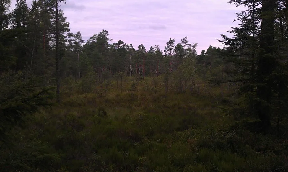 Klicka för att förstora