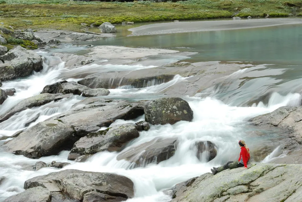 Klicka för att förstora