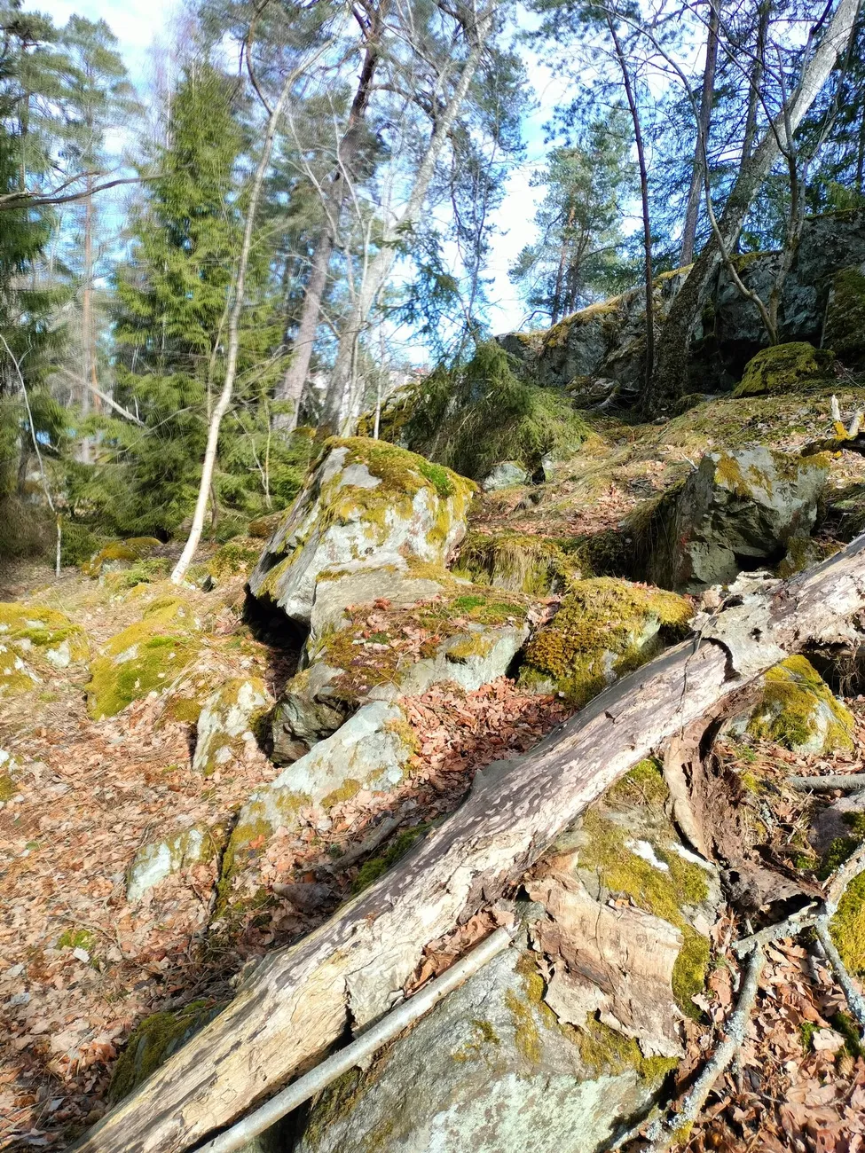 Klicka för att förstora