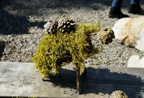 Be barnen dra åt skogen!