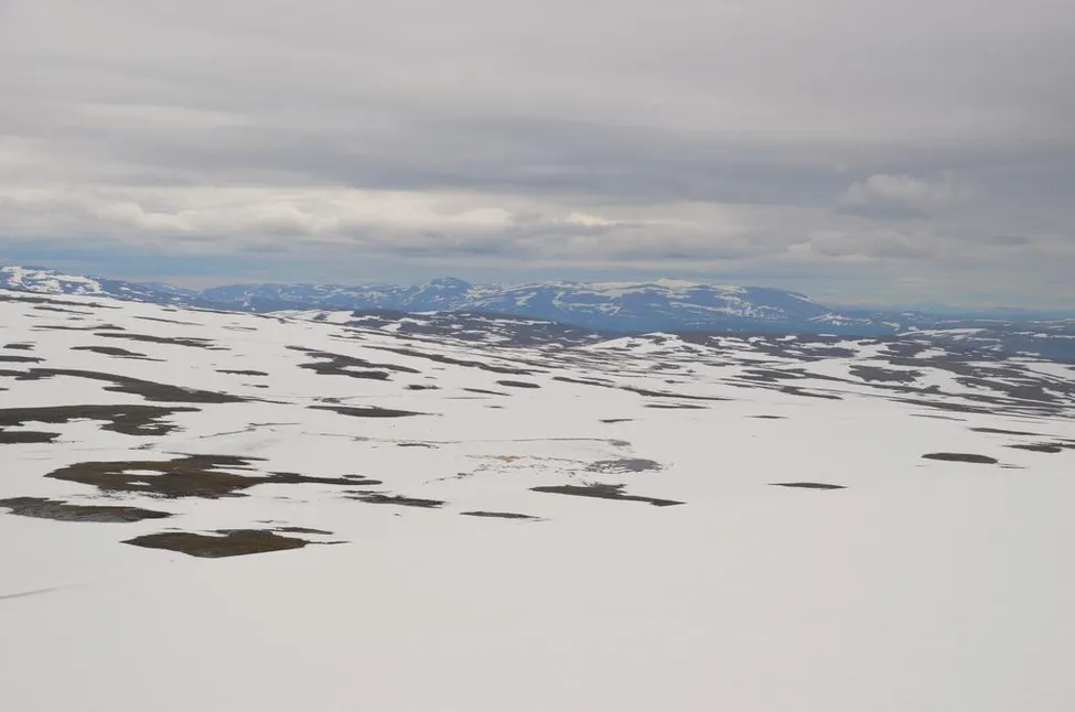 Klicka för att förstora