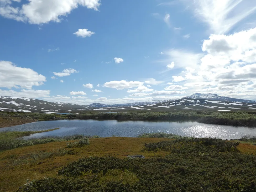 Klicka för att förstora