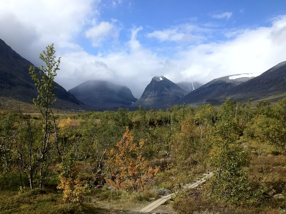 Klicka för att förstora