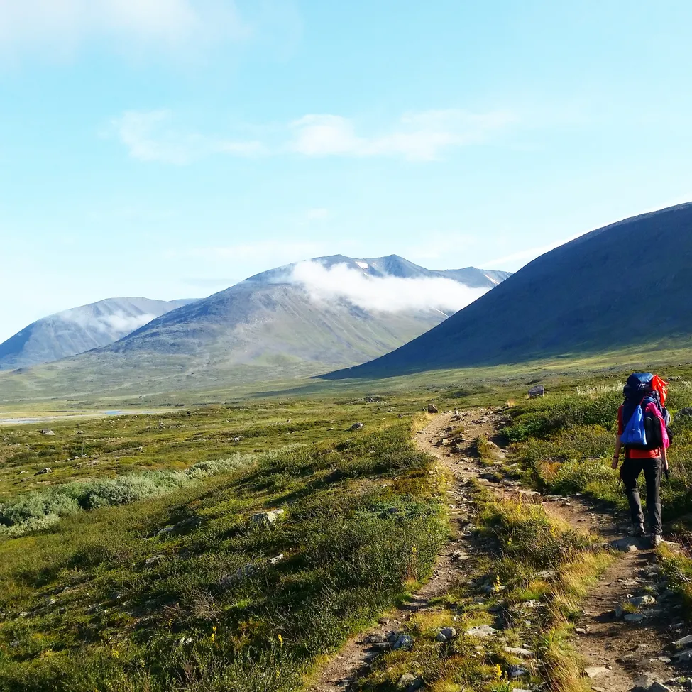 Klicka för att förstora