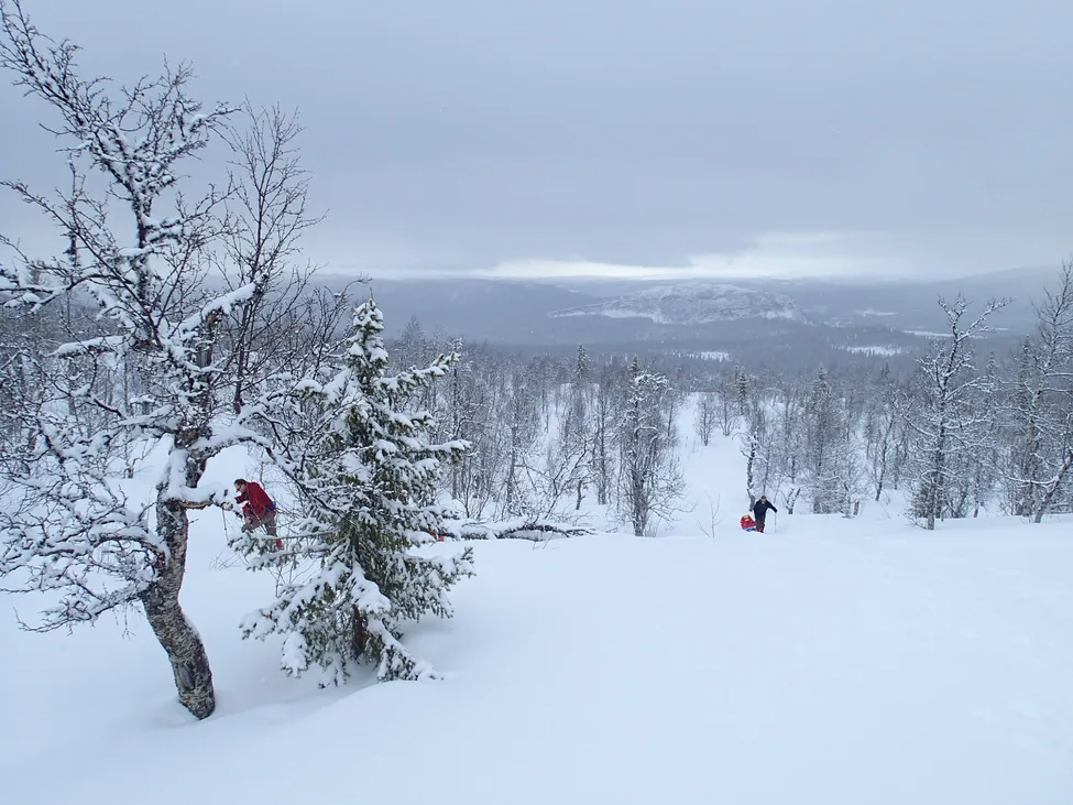 Klicka för att förstora