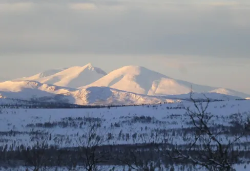 Tornet mot himelen -iglooistens mardröm!