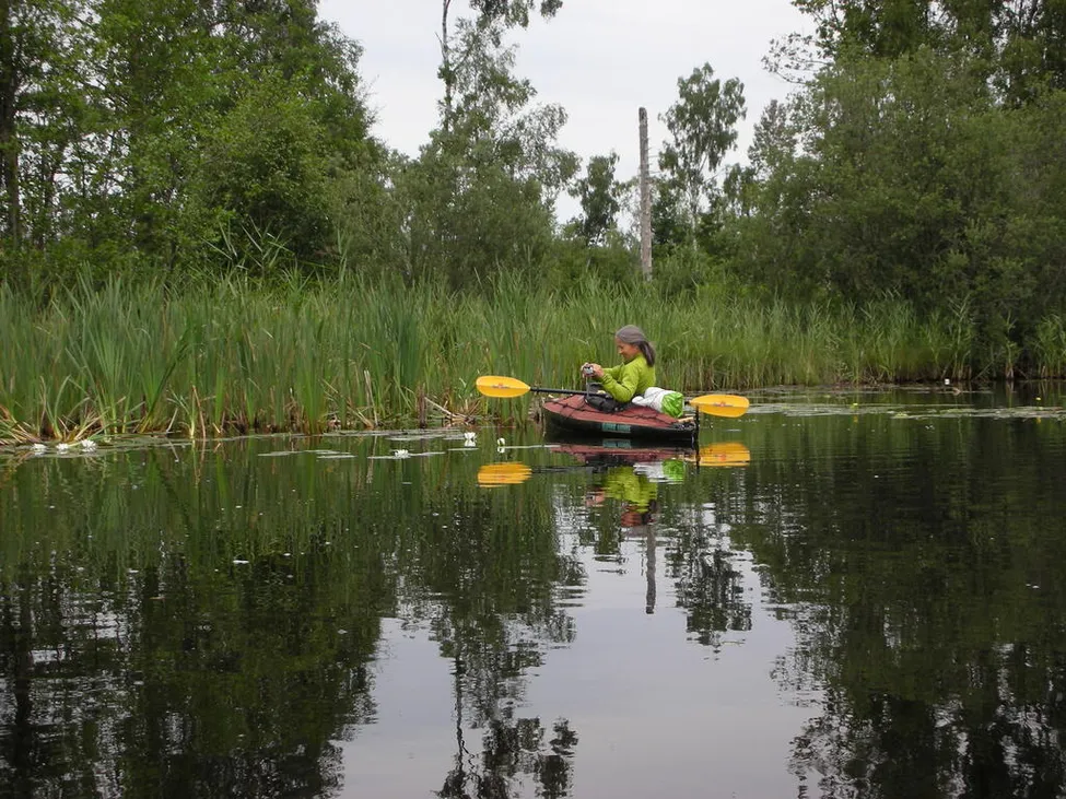 Klicka för att förstora