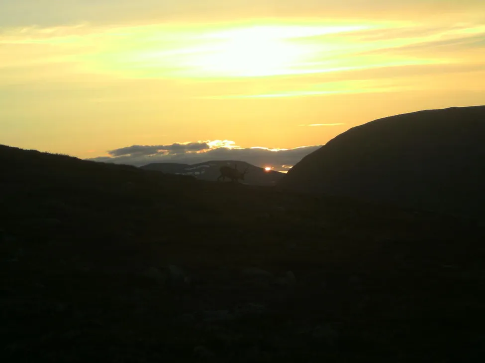 Klicka för att förstora