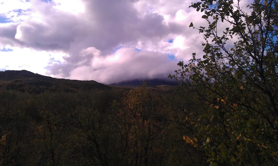 Klicka för att förstora