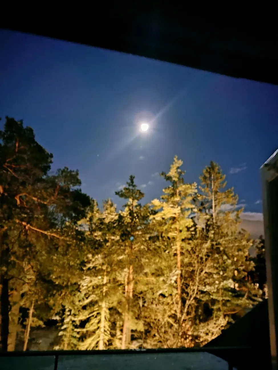 Klicka för att förstora
