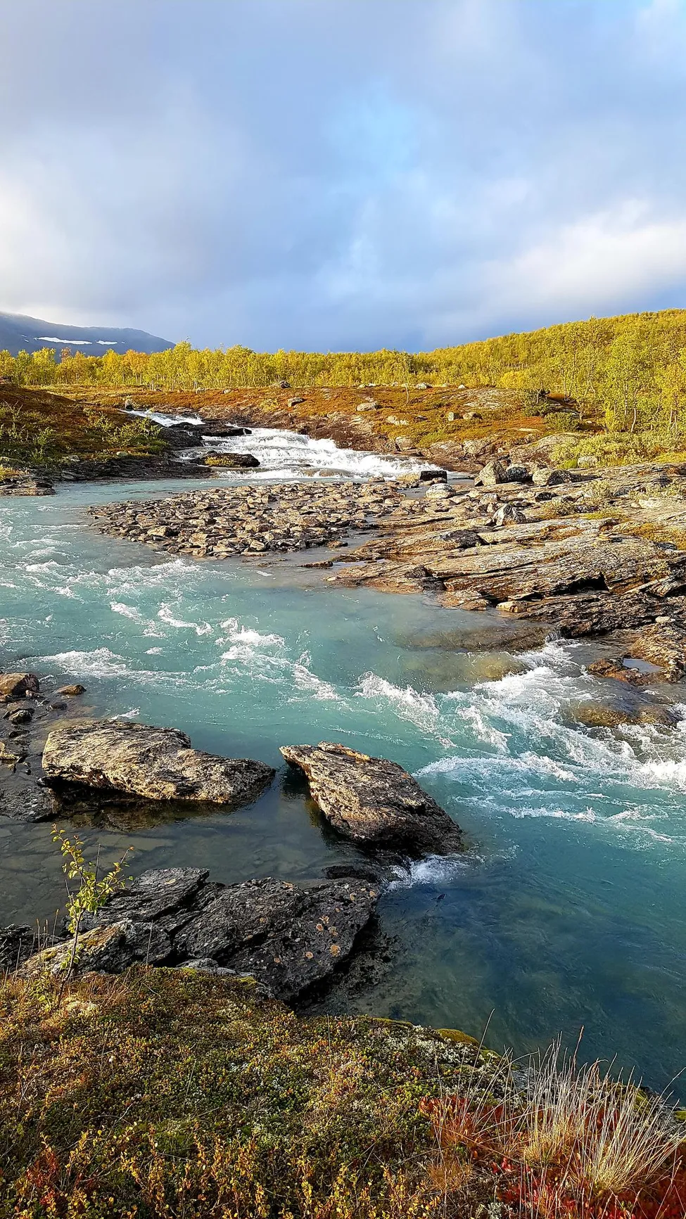 Klicka för att förstora