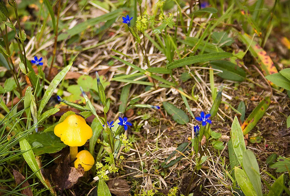 Klicka för att förstora