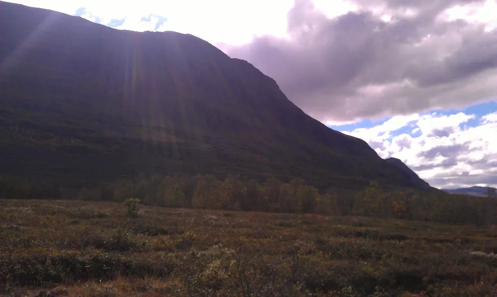 Klicka för att förstora