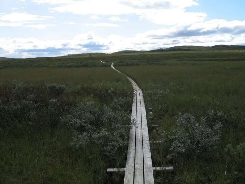 Klicka för att förstora