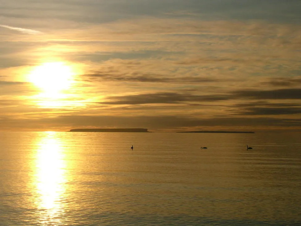 Klicka för att förstora