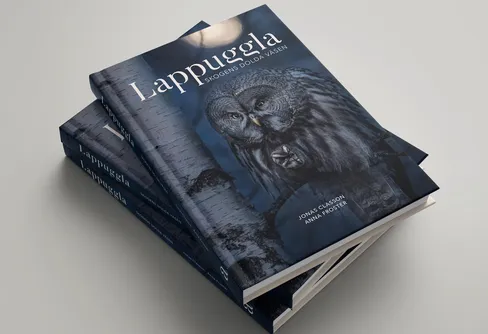 Ny bok om lappugglans mystiska liv - du har chans att vinna boken