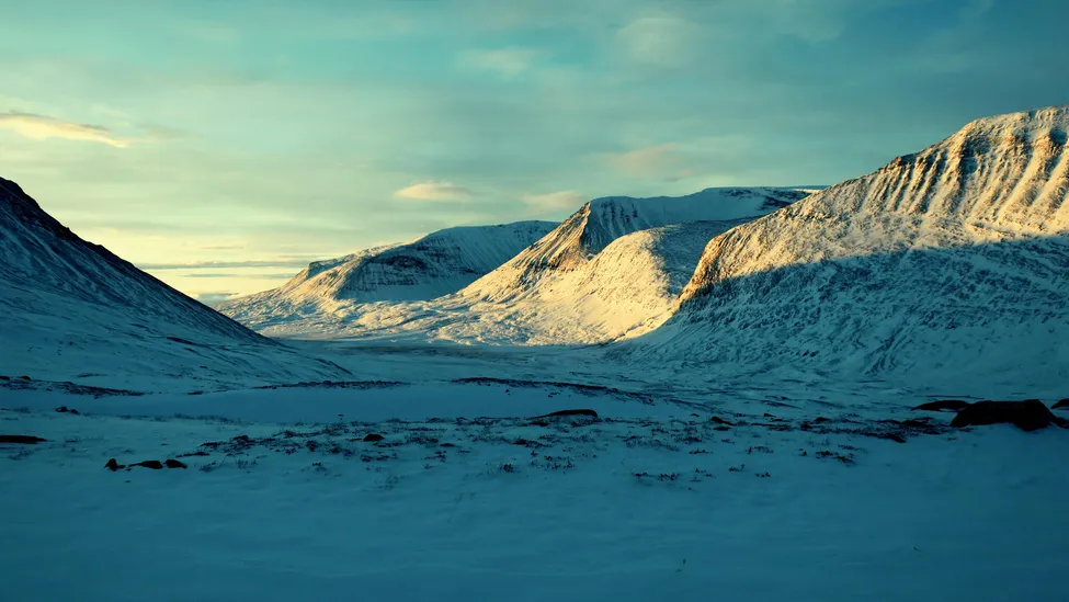 Klicka för att förstora