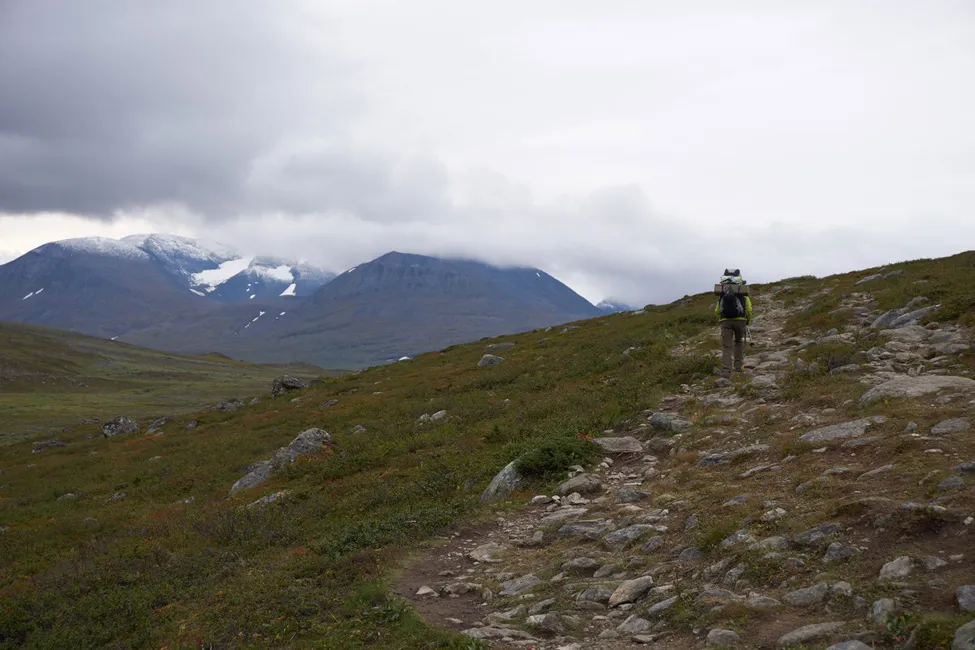 Klicka för att förstora