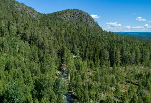 Storsatsning på naturskydd: 38 nya eller utökade reservat i Västerbotten