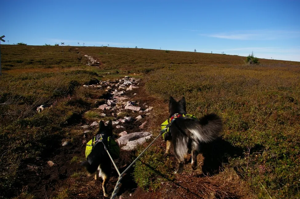 Klicka för att förstora