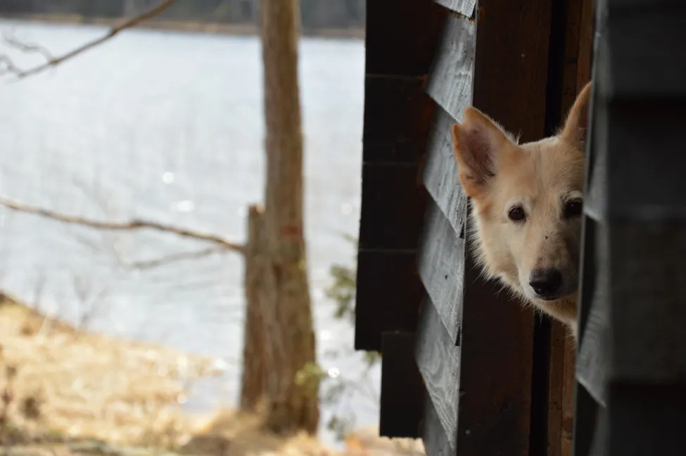 Klicka för att förstora