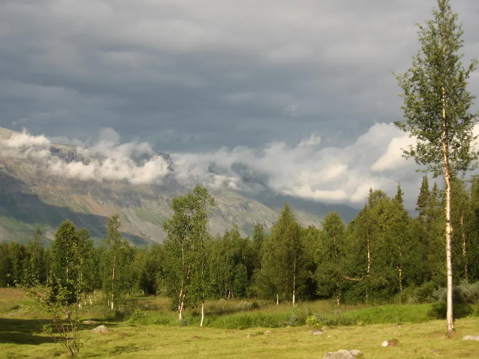 Klicka för att förstora