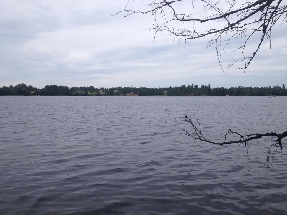 Klicka för att förstora