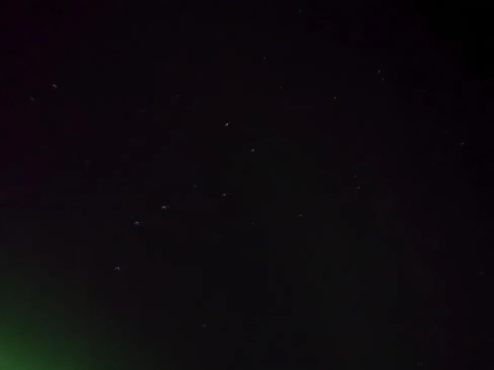 Klicka för att förstora