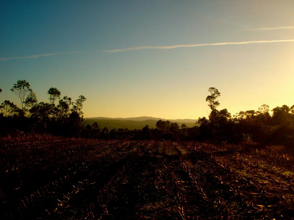Klicka för att förstora