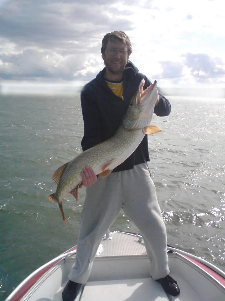 Klicka för att förstora