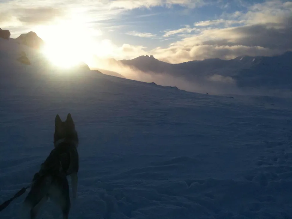 Klicka för att förstora