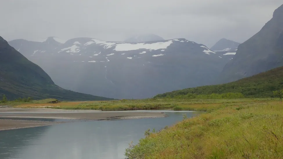 Klicka för att förstora