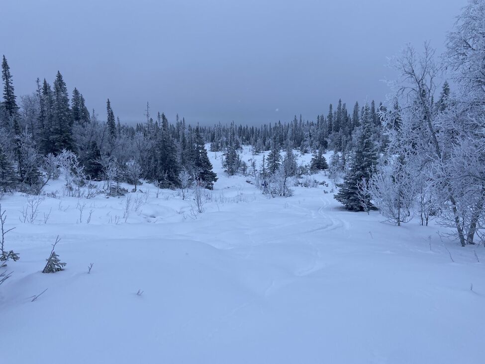 Klicka för att förstora