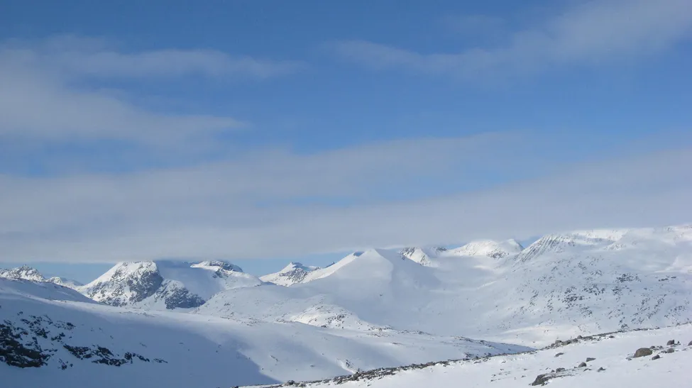 Klicka för att förstora