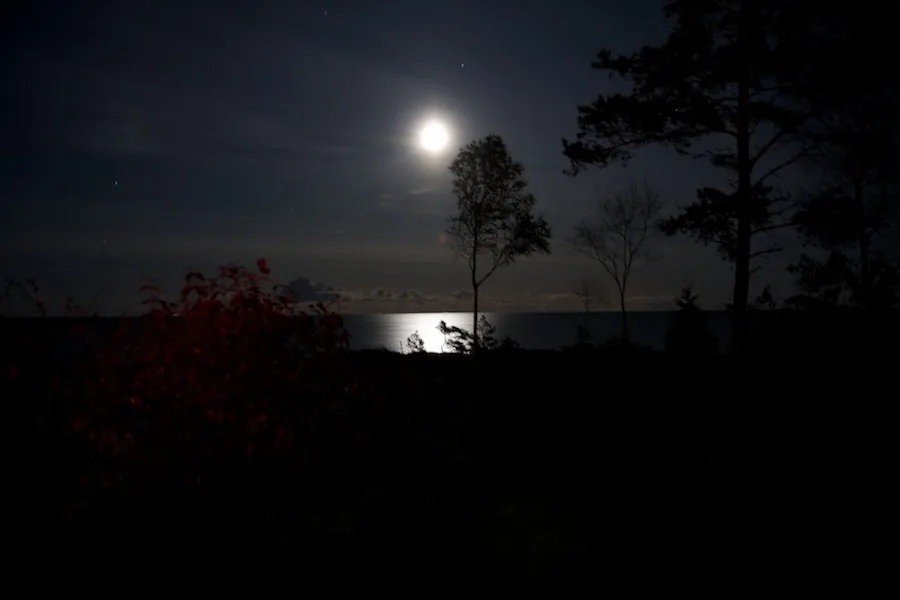 Klicka för att förstora