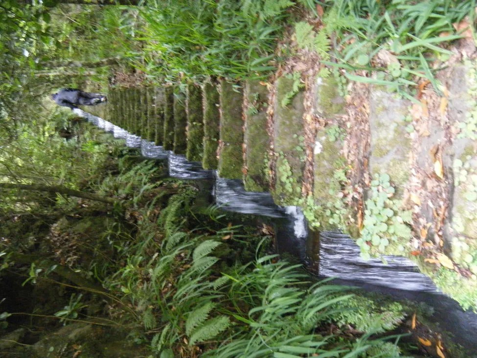 Klicka för att förstora