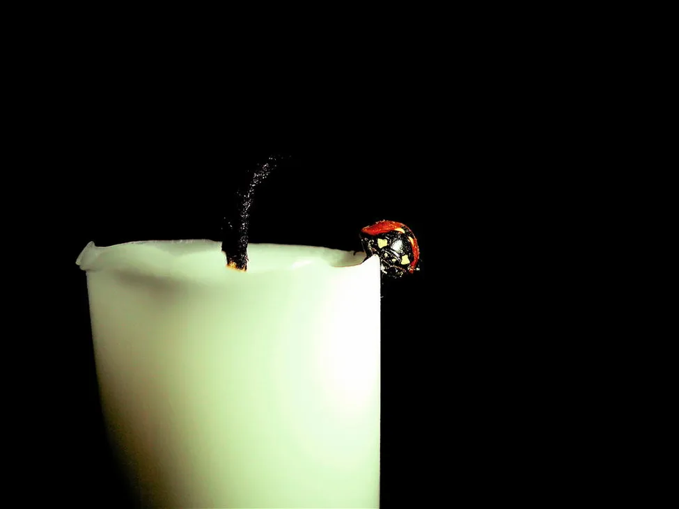 Klicka för att förstora