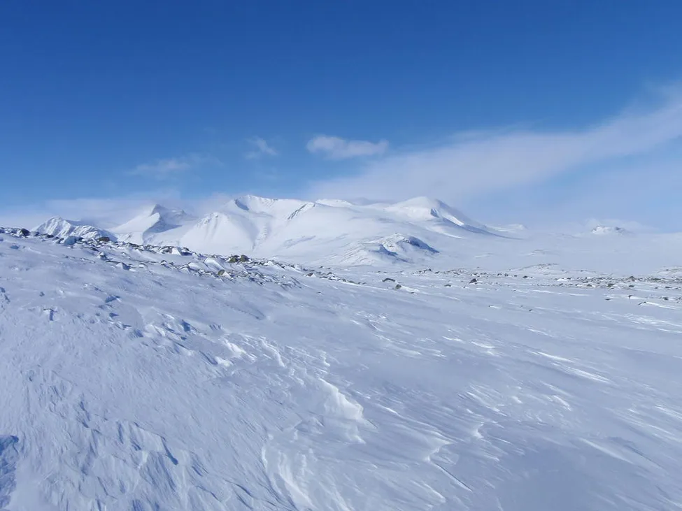 Klicka för att förstora