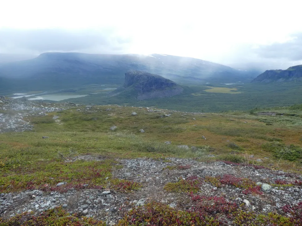 Klicka för att förstora