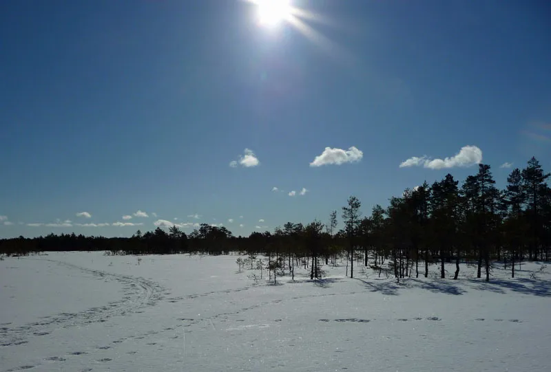 Klicka för att förstora
