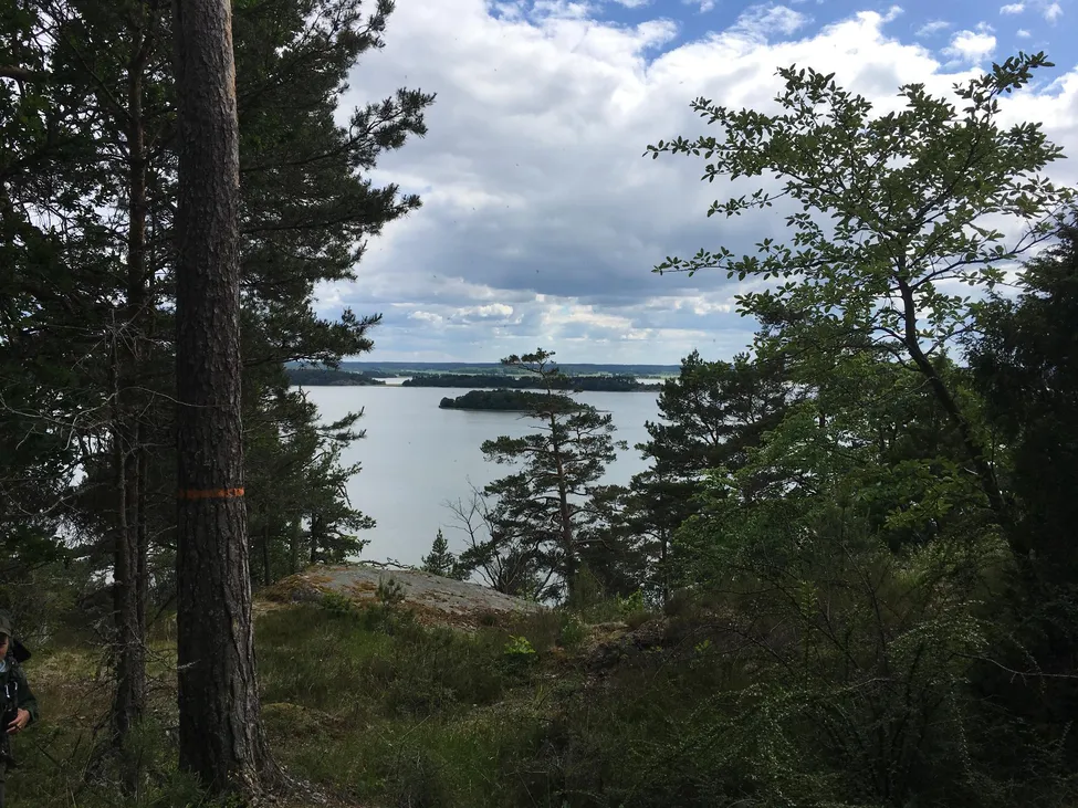 Klicka för att förstora
