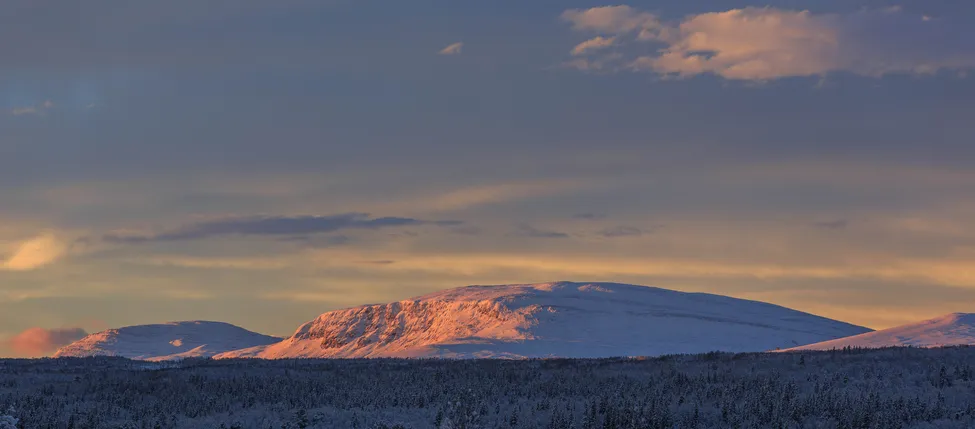 Klicka för att förstora