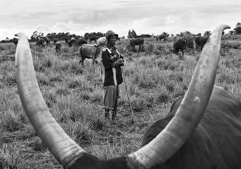 Klicka för att förstora