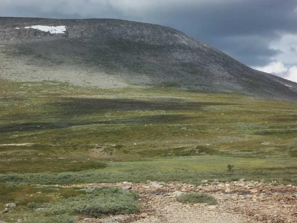 Klicka för att förstora