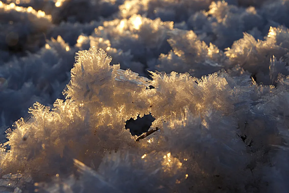 Klicka för att förstora
