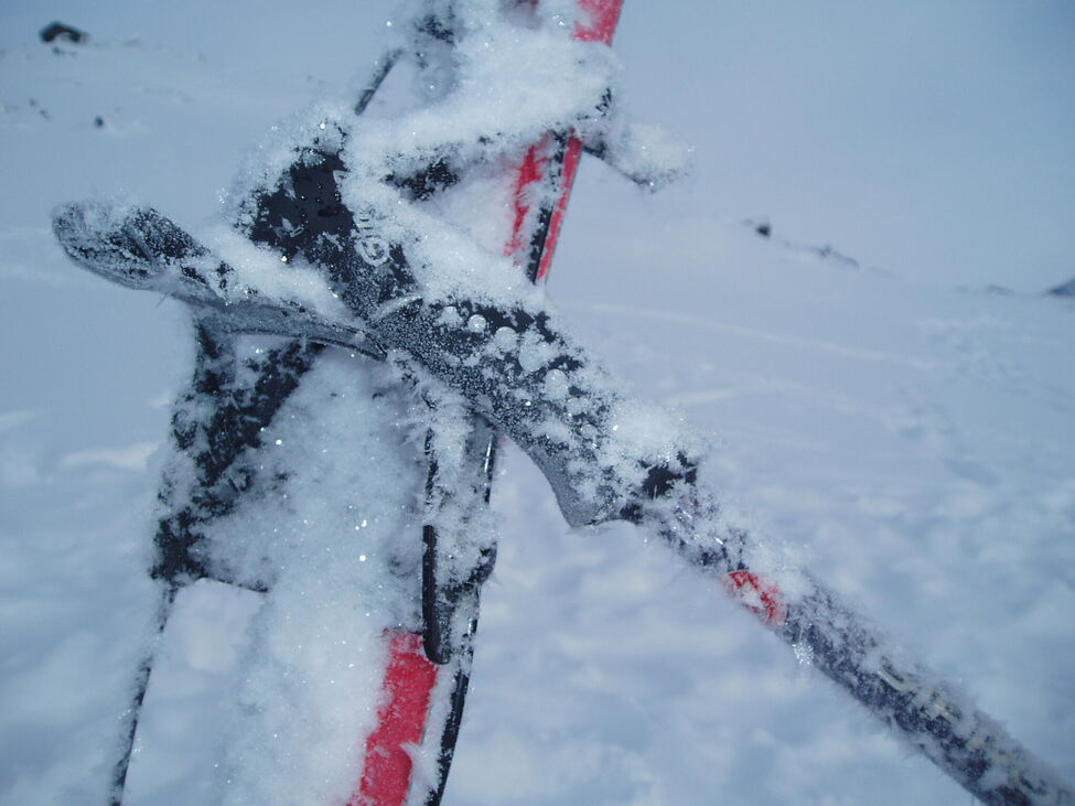 Klicka för att förstora