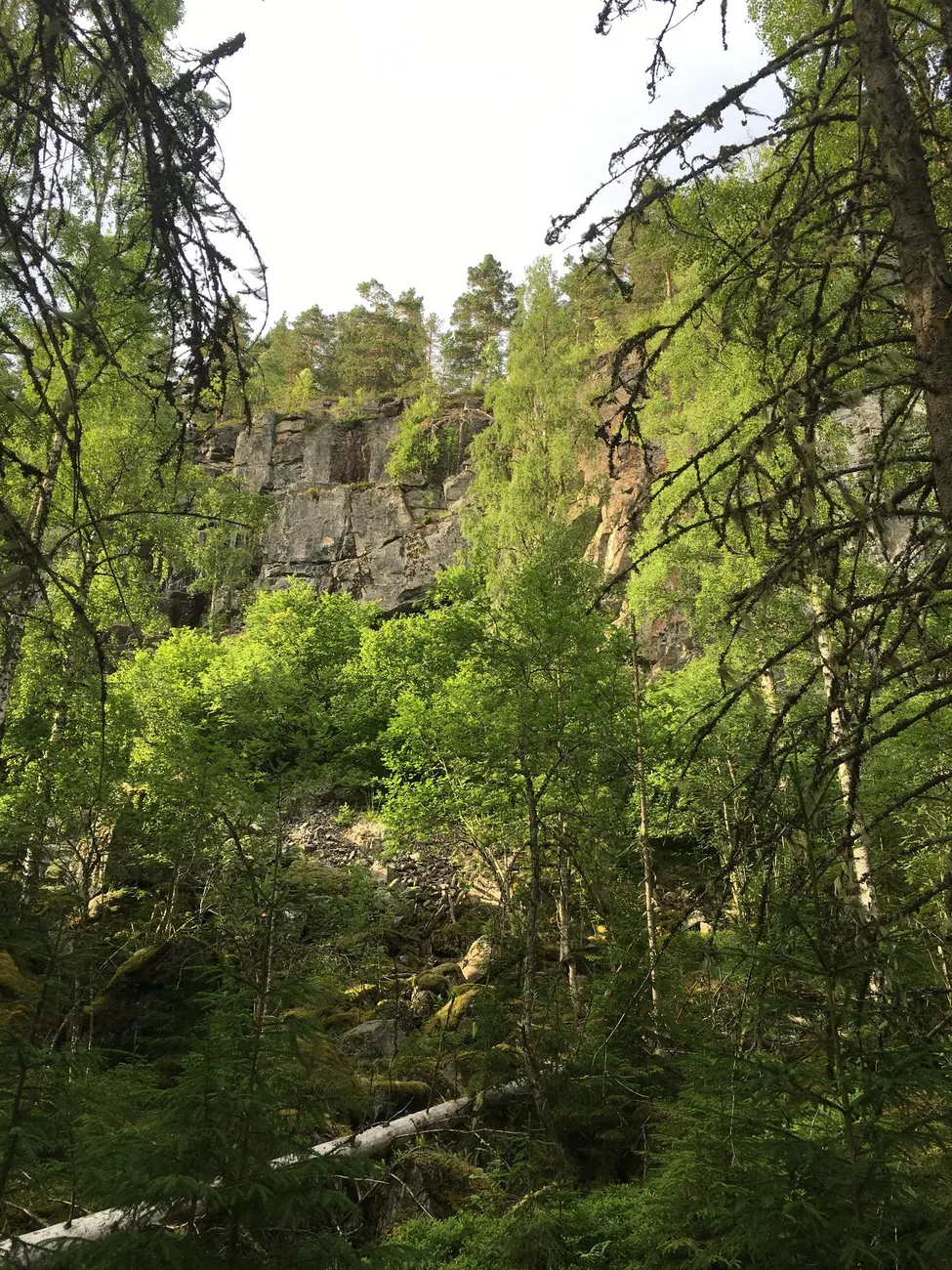 Klicka för att förstora